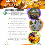 Alla scoperta delle erbacce