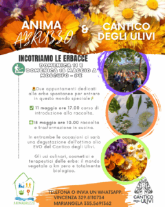Alla scoperta delle erbacce