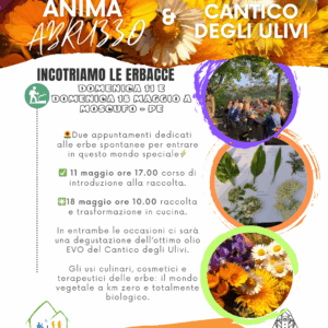 Alla scoperta delle erbacce