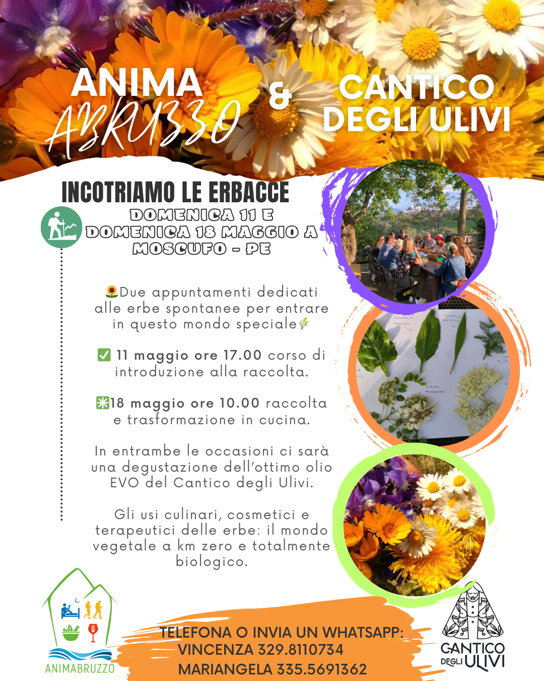 Alla scoperta delle erbacce
